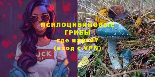 шишки Михайловка
