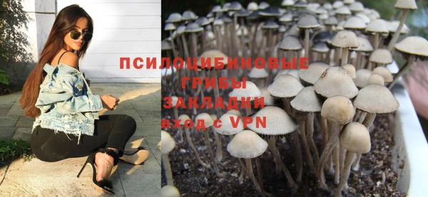 гидропоника Дедовск