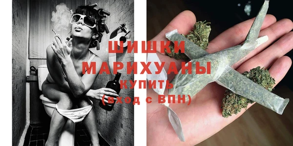 PSILOCYBIN Навашино