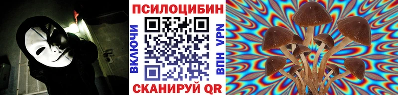 Псилоцибиновые грибы Cubensis  где продают   маркетплейс состав  Зима 