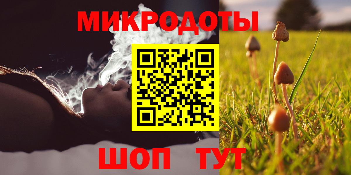 Галлюциногенные грибы MAGIC MUSHROOMS Зима